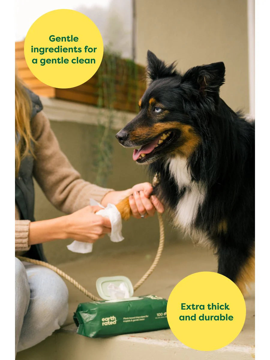 Lingettes de toilettage pour chiens à base de plantes - Lavande