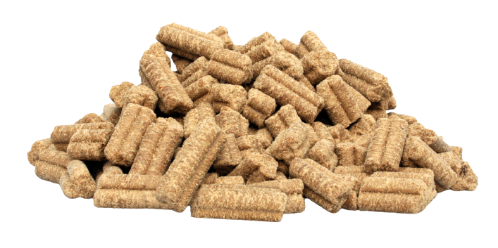 Chien Adulte Saumon 5kg - Croquettes pressées à froid